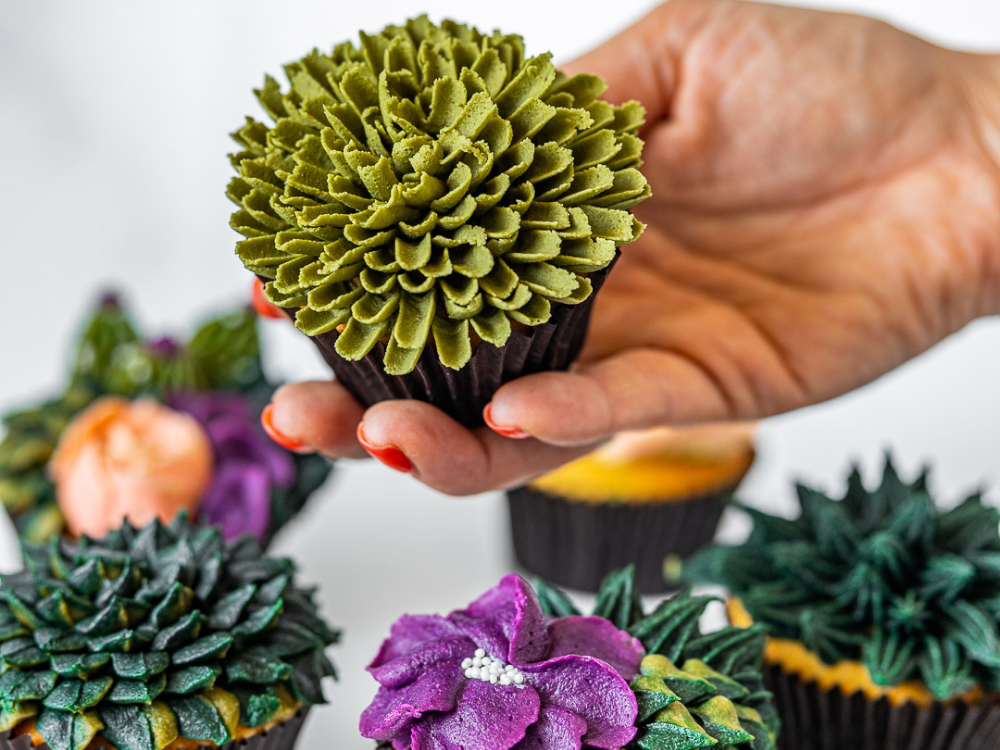 succulent buttercream Buttercream Succulents Class – The Classic Cupcake Co